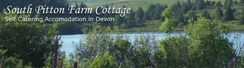 South Pitton Farm Cottage - Self Catering Accomodation in Devon